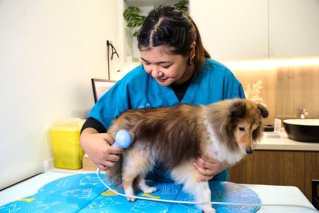 THERAPEUTIC ULTRASOUND