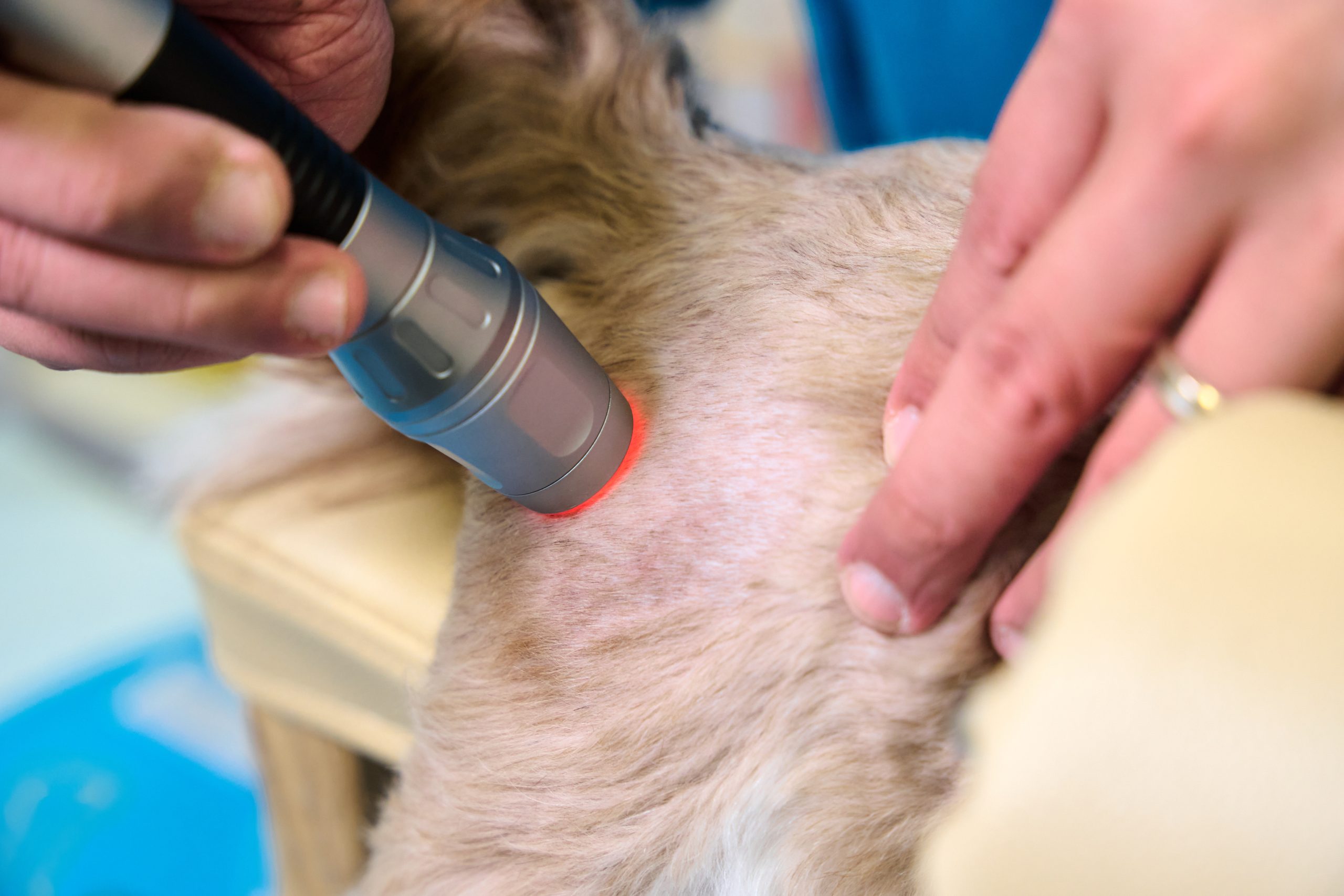 CLASS 4 THERAPEUTIC LASER